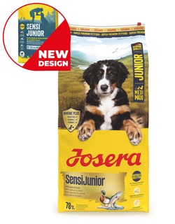 SENSI JUNIOR