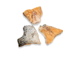 VITALITÉ Freeze Dried (DOG)