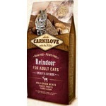 Image produit REINDEER FOR ADULT CATS